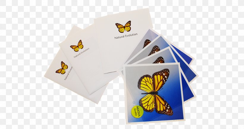 Paper Butterfly Brand 2M, PNG, 950x503px, Paper, Brand, Butterflies And Moths, Butterfly, Material Download Free