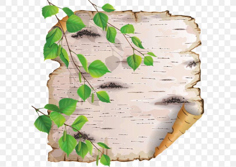 Paper Royalty-free Clip Art, PNG, 600x581px, Paper, Art, Bark, Birch, Branch Download Free
