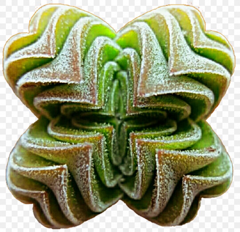 Succulent Plant Stock Photography DeviantArt Clip Art, PNG, 908x879px, Succulent Plant, Deviantart, Plant, Reddit, Star Download Free