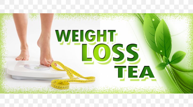 Tea Weight Loss Health Fat Obesity Png 900x500px Tea