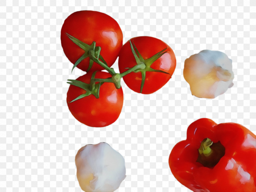 Tomato, PNG, 1200x900px, Watercolor, Fruit, Genus, Local Food, Natural Food Download Free