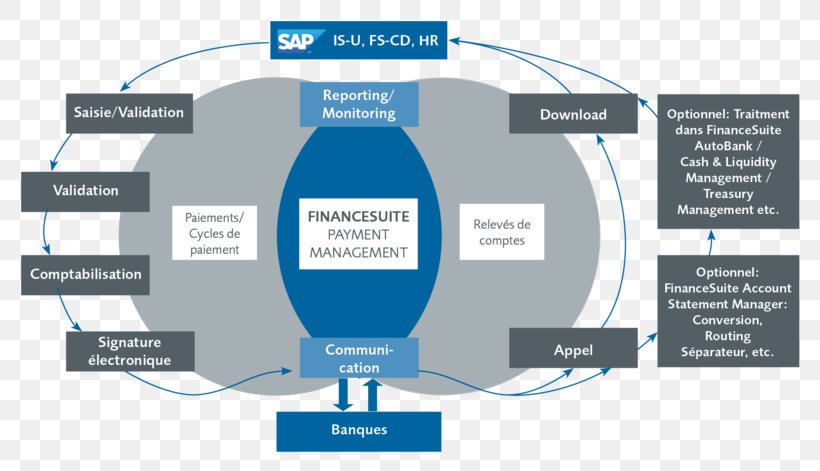 Treasury Management Business Process Payment, PNG, 800x471px, Management, Accounting Liquidity, Afacere, Bank, Bank Statement Download Free