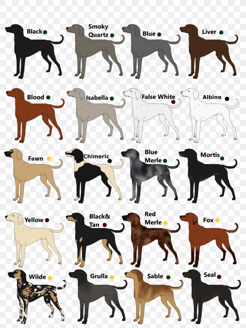 Dog Breed Sporting Group Font, PNG, 1024x1365px, Dog Breed, Breed, Carnivoran, Dog, Dog Breed Group Download Free