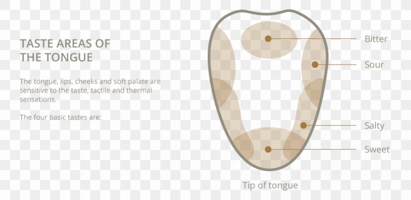 Product Design Material Body Jewellery, PNG, 821x401px, Material, Body Jewellery, Body Jewelry, Brand, Fashion Accessory Download Free