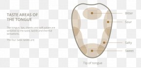 Papillae Of Tongue - Product Design Material Body Jewellery PNG