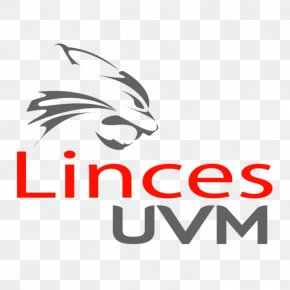 Lynx - Universidad Del Valle De MÃ©xico Lomas Verdes OrganizaciÃ³n Nacional Estudiantil De FÃºtbol Americano Lynx Ciudad Universitaria PNG