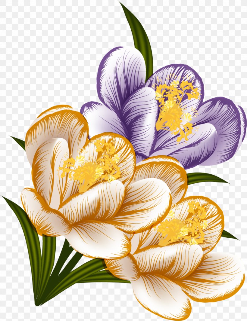 Flower Crocus Clip Art, PNG, 982x1280px, Flower, Art, Crocus, Cut Flowers, Floral Design Download Free