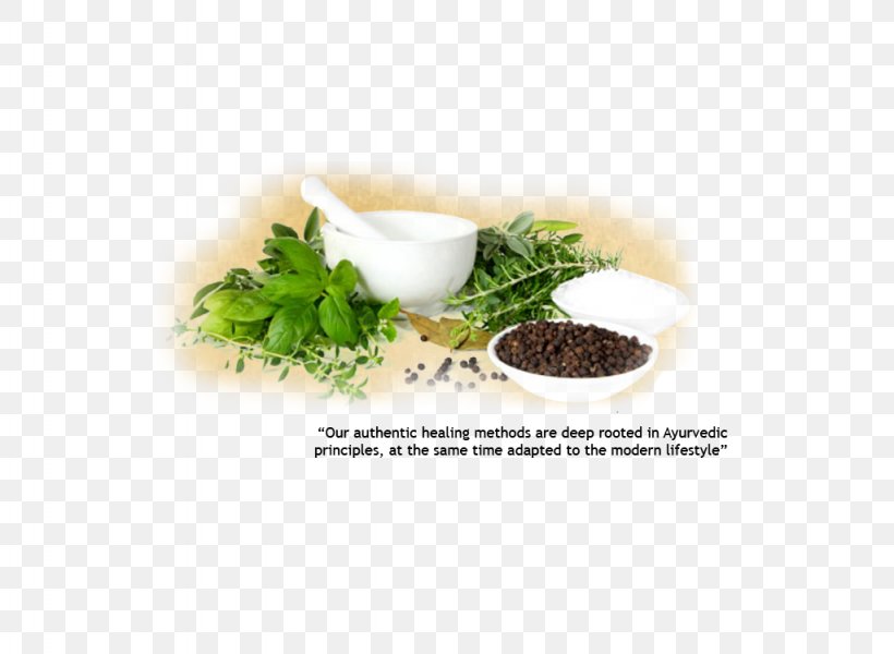Herbalism Ayurveda Health Disease, PNG, 1024x750px, Herb, Alternative Health Services, Ayurveda, Cure, Disease Download Free
