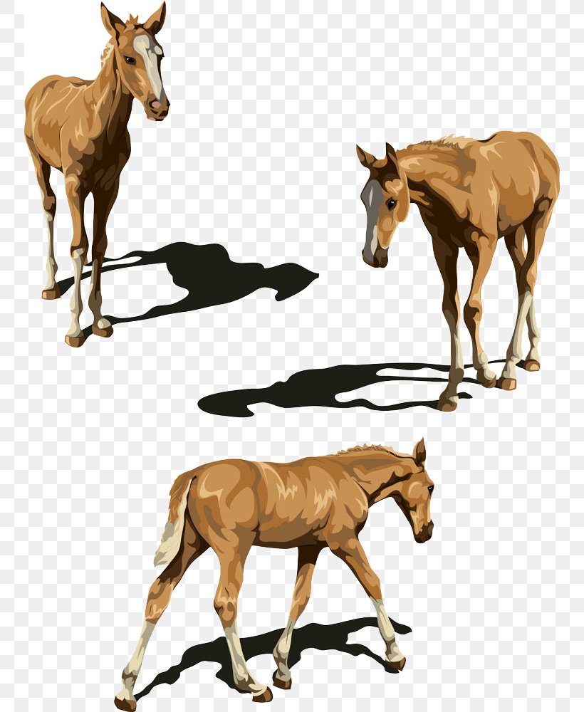 Tennessee Walking Horse Foal Illustration, PNG, 752x1000px, Tennessee Walking Horse, Colt, Donkey, Drawing, Fauna Download Free