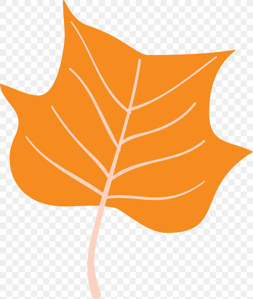 Autumn Leaf Colourful Foliage Colorful Leaves, PNG, 2543x3000px, Autumn Leaf, Biology, Colorful Leaf, Colorful Leaves, Colourful Foliage Download Free