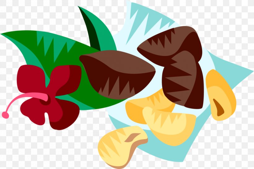 Clip Art Vector Graphics Illustration Brazilian Cuisine, PNG, 1050x700px, Brazilian Cuisine, Anthurium, Botany, Brazil, Brazil Nut Download Free