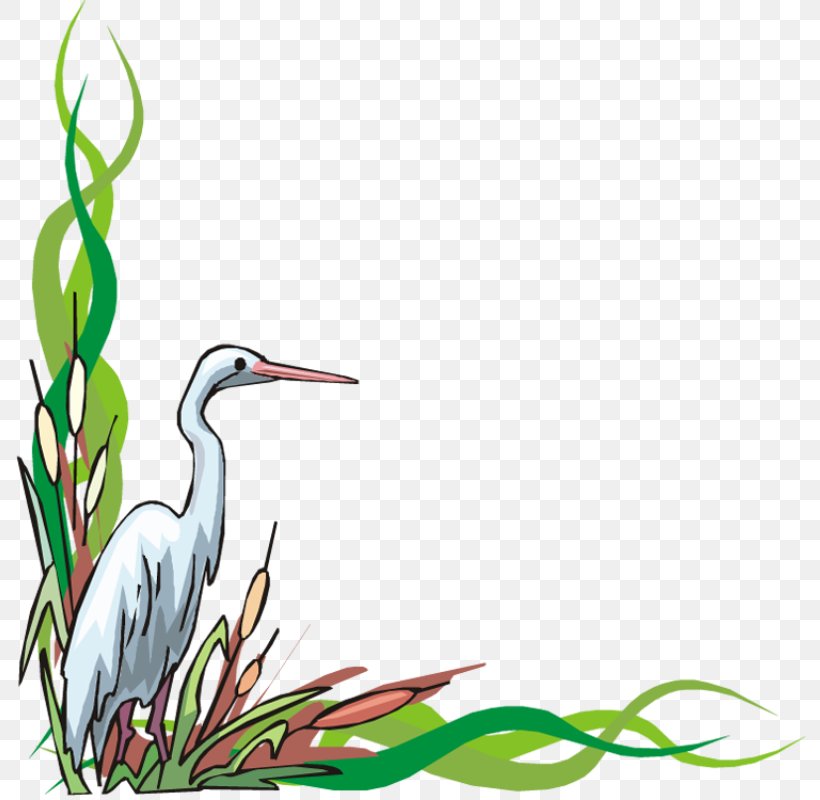 Heron Stork Clip Art, PNG, 793x800px, Heron, Animaatio, Beak, Bird, Branch Download Free