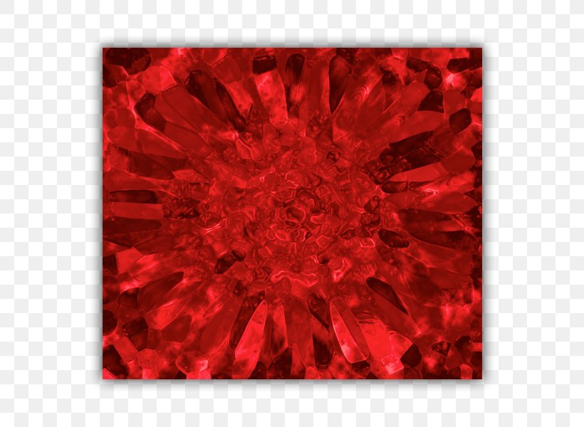 Symmetry Pattern, PNG, 600x600px, Symmetry, Flower, Magenta, Petal, Red Download Free