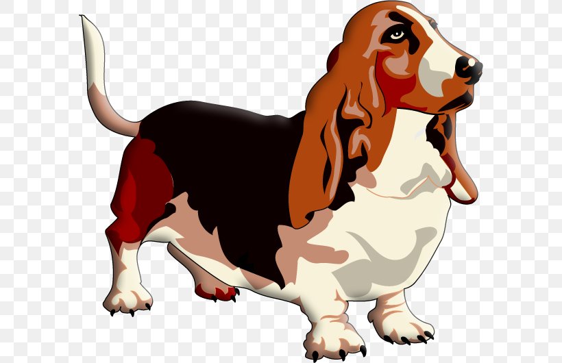 Basset Hound Clip Art, PNG, 591x530px, Basset Hound, Beagle, Can Stock Photo, Carnivoran, Dog Download Free
