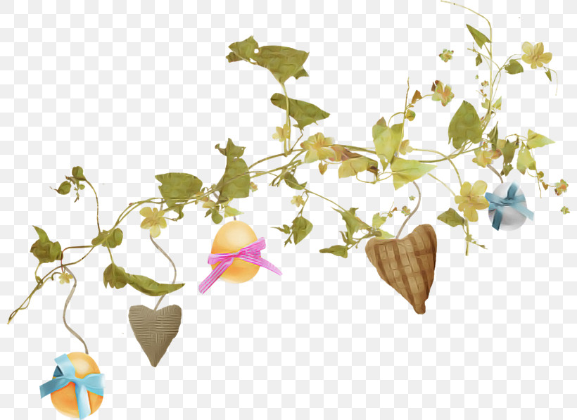 Ivy, PNG, 800x597px, Flower, Bellflower, Branch, Ivy, Leaf Download Free