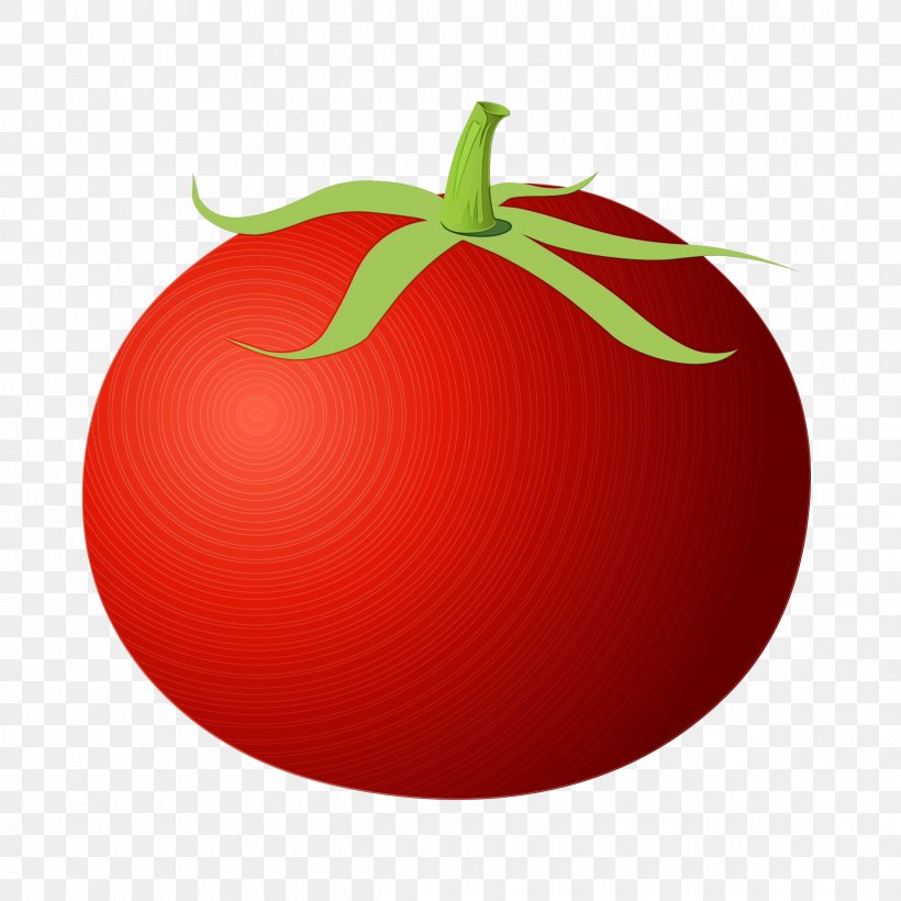 Tomato Cartoon, PNG, 2400x2400px, Tomato, Apple, Food, Fruit, Nightshade Family Download Free
