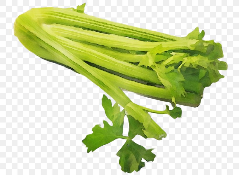 Vegetable Food Plant Leaf Vegetable Celery, PNG, 800x600px, Watercolor, Celery, Choy Sum, Flower, Flowering Plant Download Free