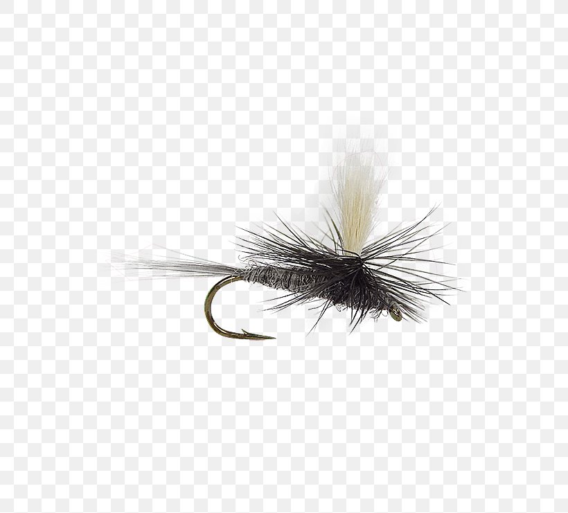 Artificial Fly Fly Fishing Baetis Holly Flies, PNG, 555x741px, Artificial Fly, Baetis, Email, Fishing Bait, Fly Download Free