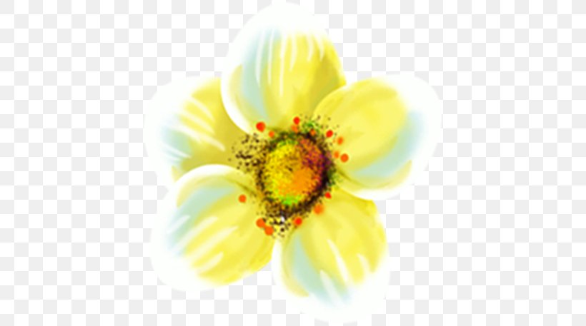 Common Sunflower Cut Flowers Clip Art, PNG, 423x457px, Flower, Blog, Common Sunflower, Computer Monitors, Cut Flowers Download Free