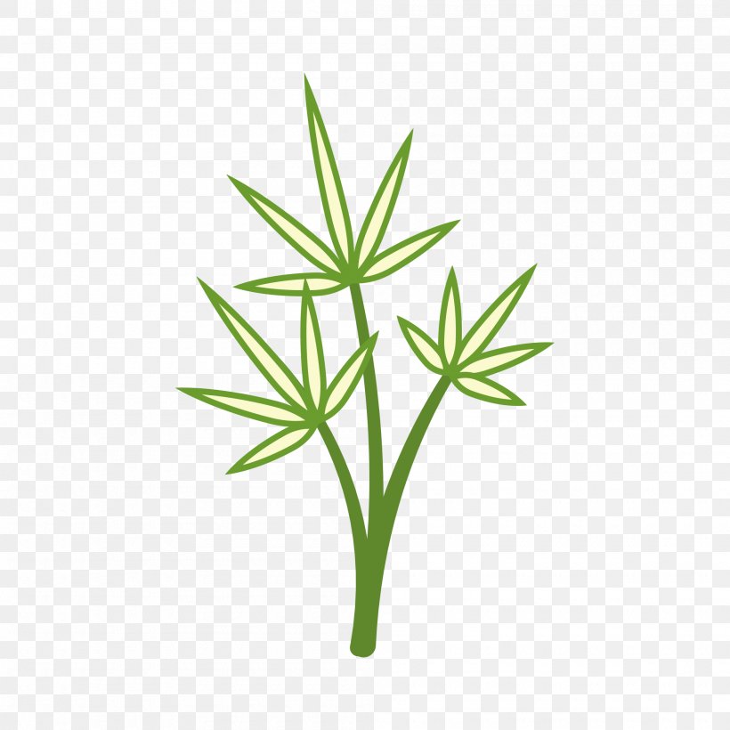 Leaf Plants Green Image, PNG, 2000x2000px, Leaf, Color, Designer, Grass, Grass Family Download Free