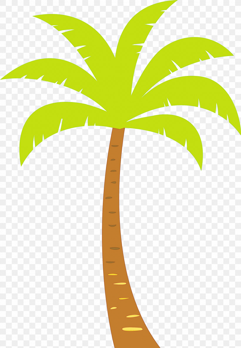 Palm Trees, PNG, 2072x2999px, Palm Tree, Archontophoenix, Archontophoenix Cunninghamiana, Areca Palm, Beach Download Free