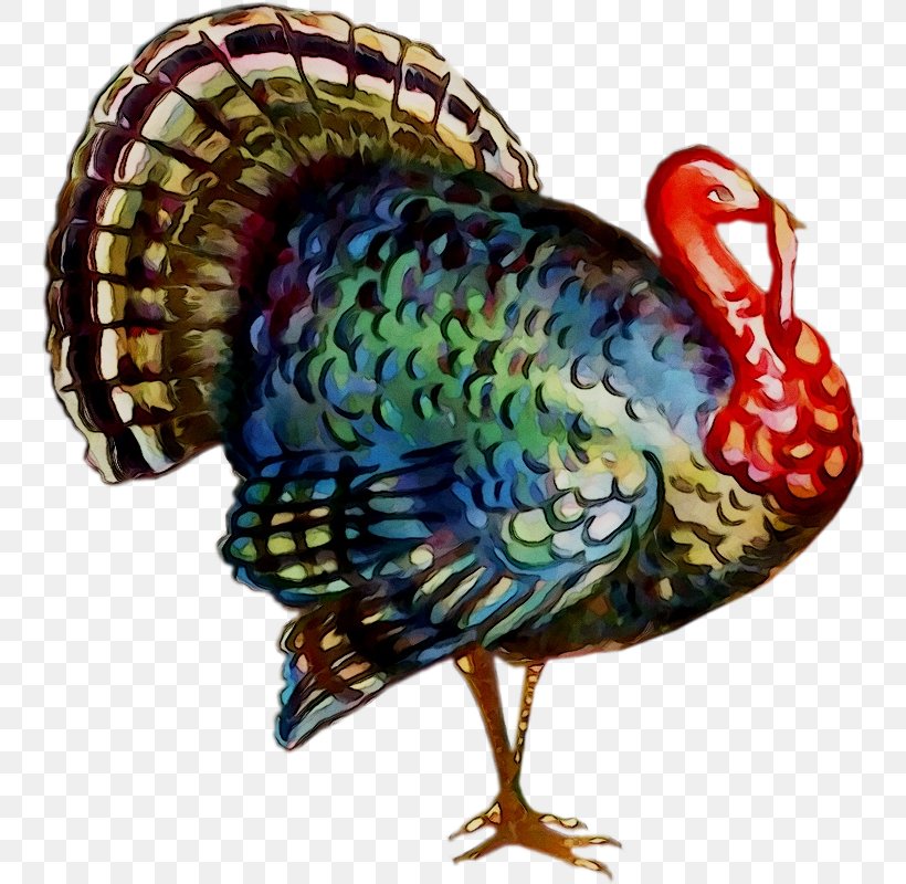 Thanksgiving Turkey Image Greeting Stock Photography, PNG, 746x800px, Thanksgiving, Autumn, Beak, Bird, Domestic Turkey Download Free