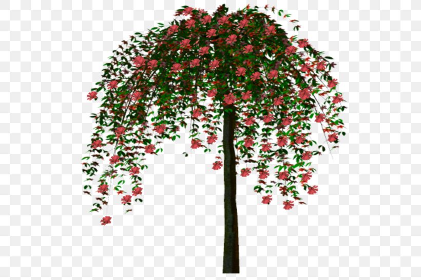 Tree Woody Plant Animation, PNG, 546x546px, Tree, Animation, Branch, Centerblog, Christmas Decoration Download Free