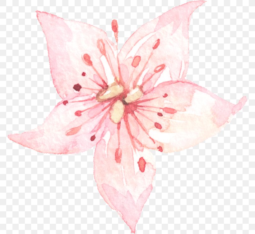 Watercolour Flowers Watercolor Painting Floral Design, PNG, 772x753px, Watercolour Flowers, Art, Blossom, Cherry Blossom, Cut Flowers Download Free