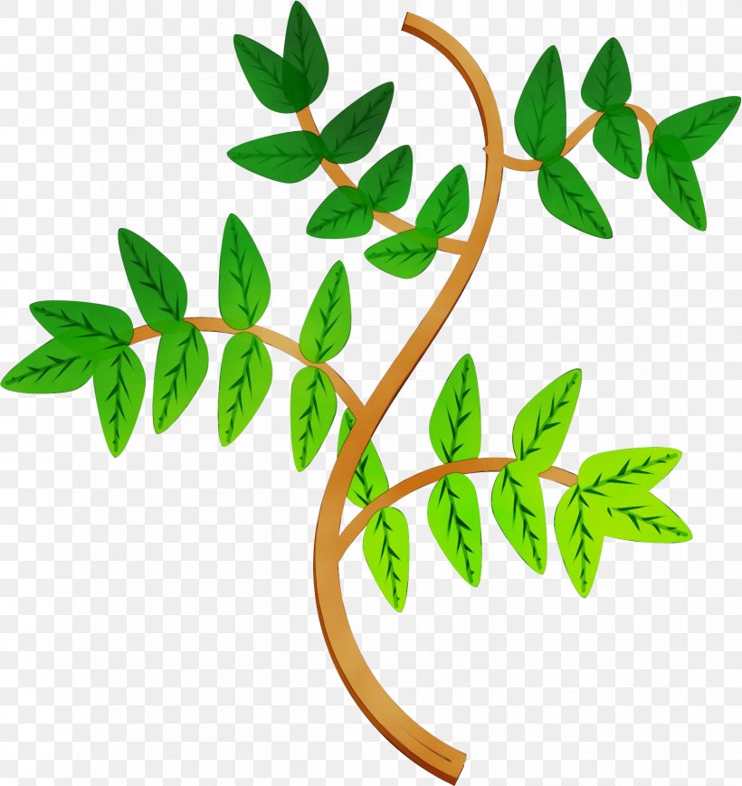 Branch Plant Stem Leaf Flower Plants, PNG, 1685x1786px, Watercolor, Branch, Flower, Leaf, Paint Download Free