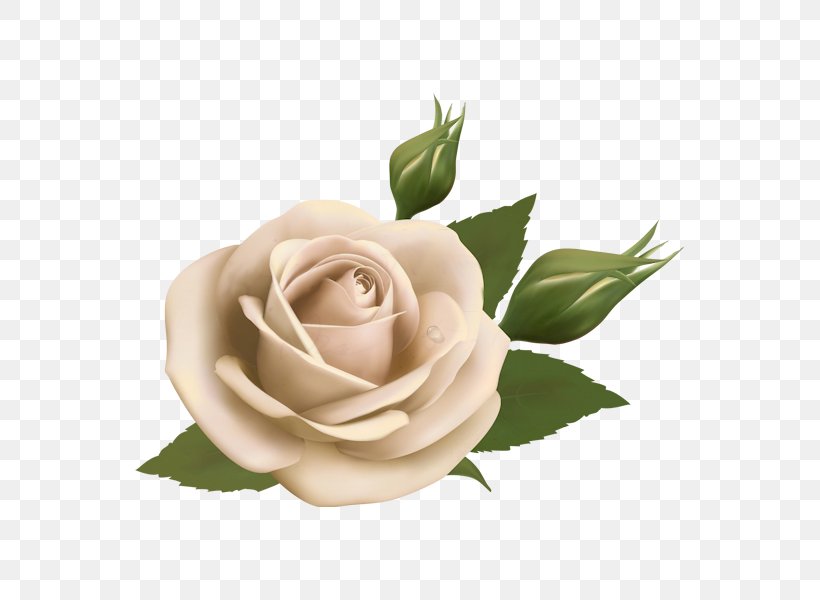 Flower Floral Design Rose Vector Graphics, PNG, 600x600px, Flower, Cut Flowers, Depositphotos, Floral Design, Flower Bouquet Download Free