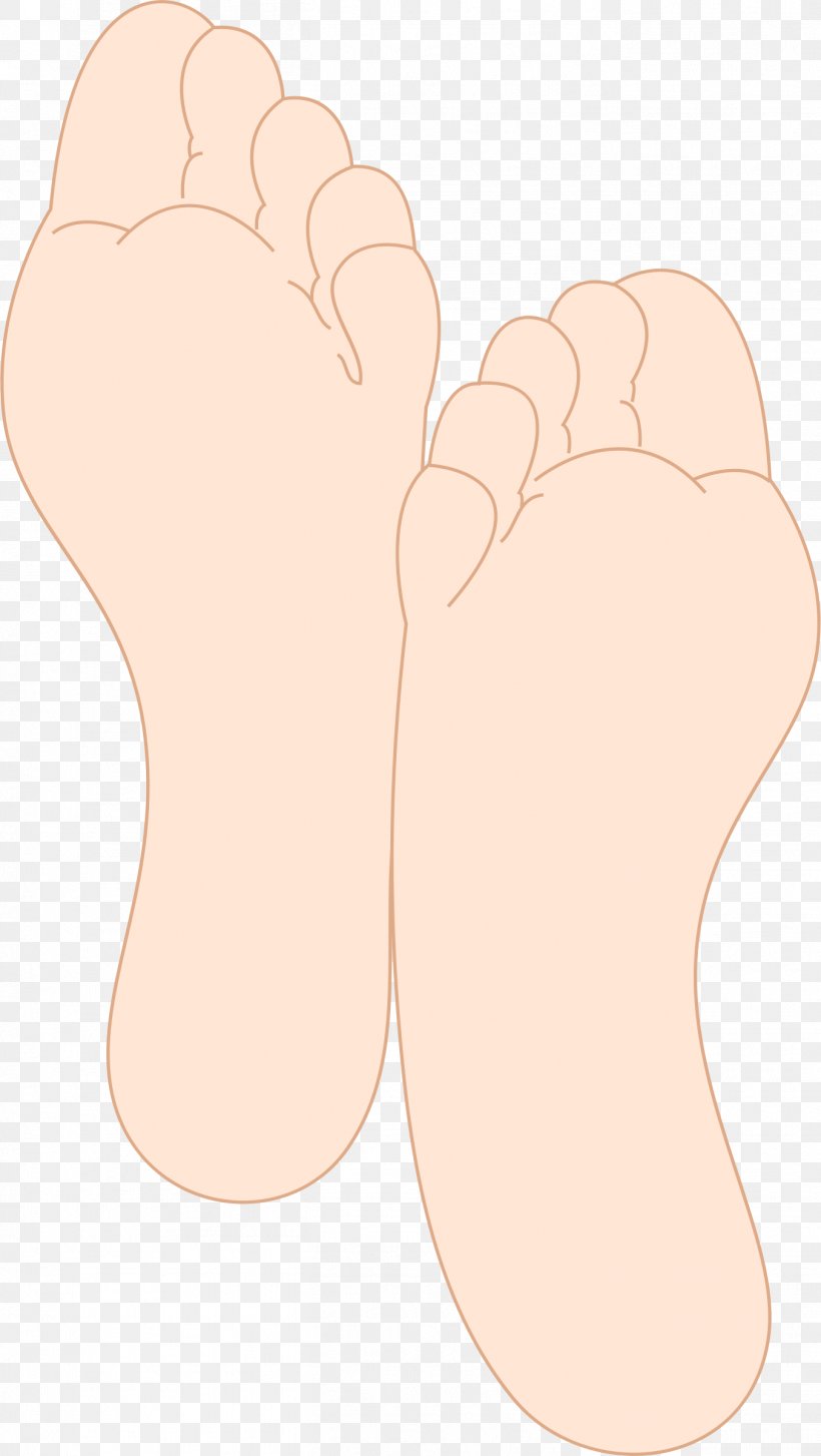 Foot Human Body Sole Toe, PNG, 1354x2400px, Watercolor, Cartoon, Flower, Frame, Heart Download Free