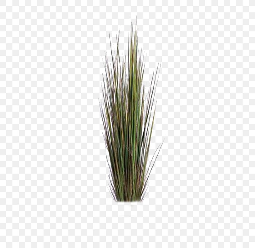 Plant Tree Artificial Flower, PNG, 600x800px, Plant, Artificial Flower, Bamboo, Chrysopogon Zizanioides, Commodity Download Free