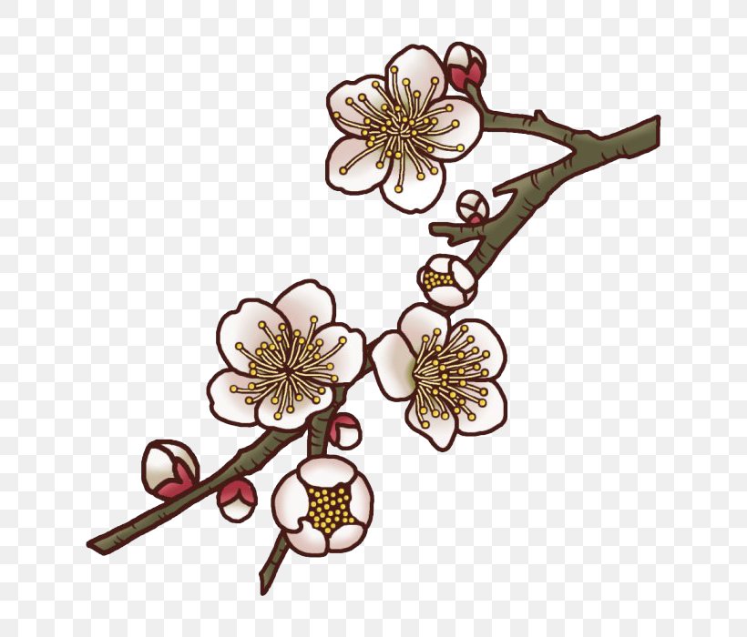 Plum Blossom Illustration, PNG, 700x700px, Plum Blossom, Body Jewelry, Branch, Cherry Blossom, Cut Flowers Download Free