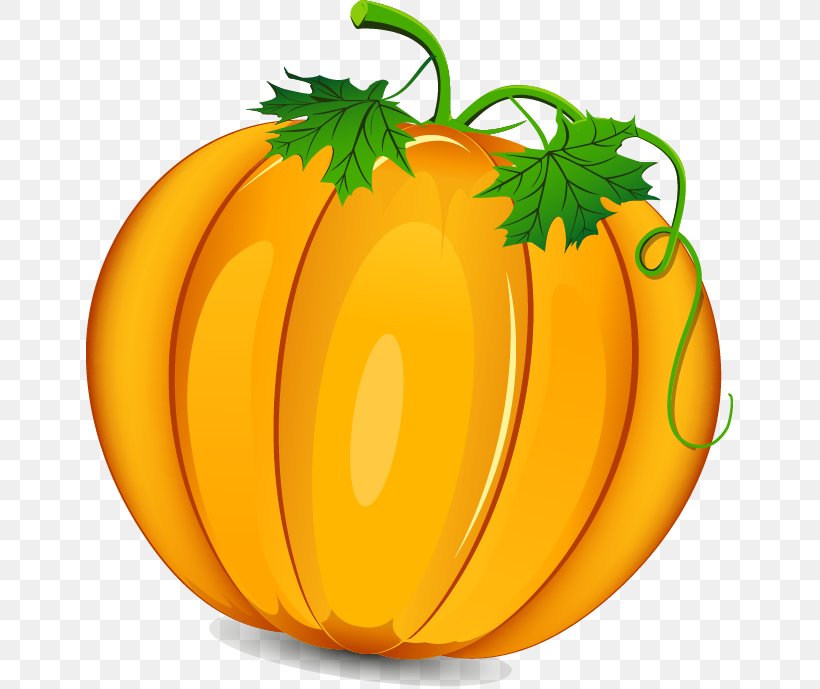 Thanksgiving Day Clip Art, PNG, 647x689px, Thanksgiving, Calabaza, Christmas, Commodity, Cucurbita Download Free