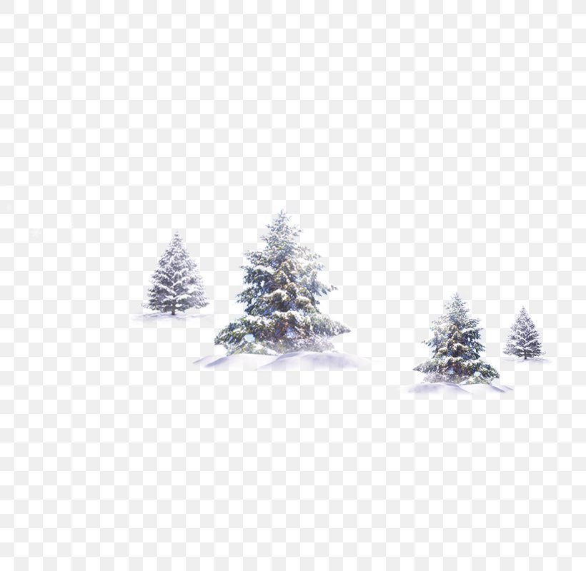 Tree Winter Snow, PNG, 800x800px, Dahan, Icicle, Image File Formats, Pattern, Snow Download Free