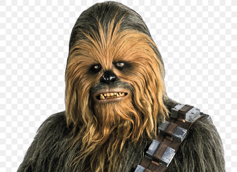 Chewbacca Anakin Skywalker Han Solo Obi-Wan Kenobi Luke Skywalker, PNG, 800x596px, Chewbacca, Anakin Skywalker, Character, Fictional Character, Han Solo Download Free