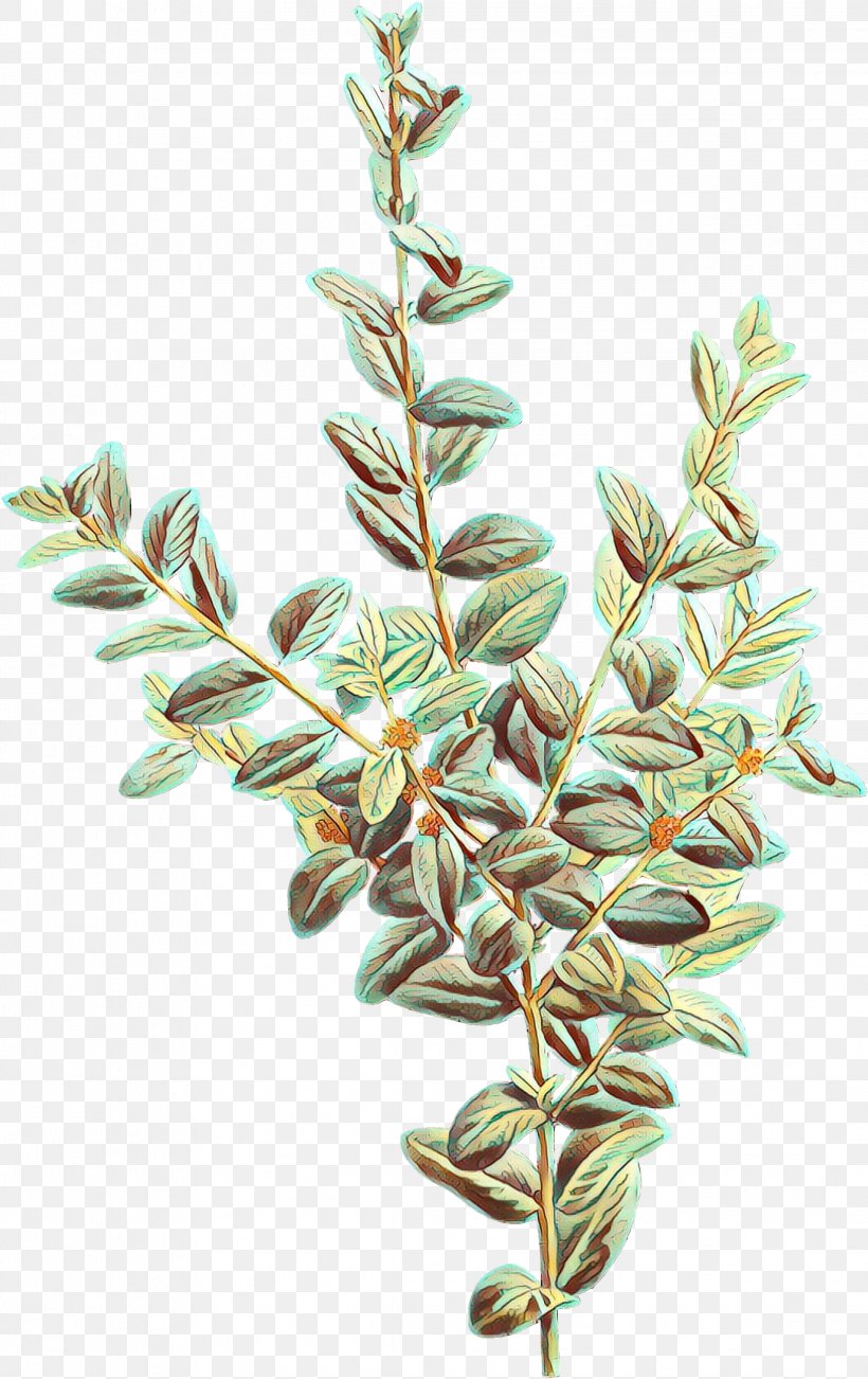 Plant Flower Branch Leaf Tree, PNG, 2267x3600px, Cartoon, American Larch, Branch, Flower, Flowering Plant Download Free