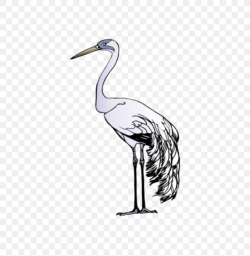 Red-crowned Crane Bird Yancheng Coastal Wetlands, PNG, 595x842px, Crane, Beak, Bird, Black And White, Cartoon Download Free