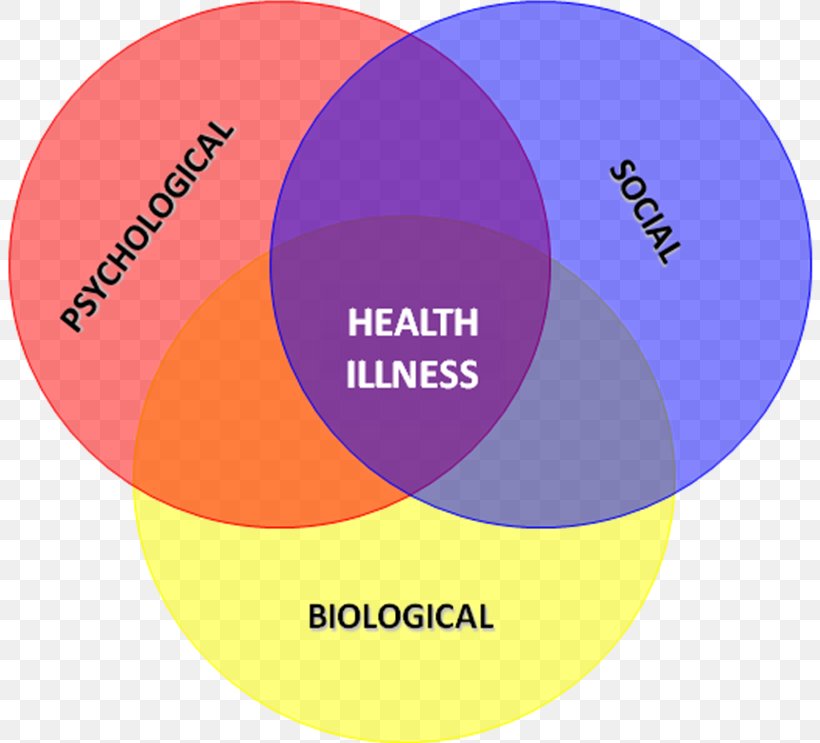 Biopsychosocial Model Health Psychology Biomedical Model Health Psychology, PNG, 808x743px, Biopsychosocial Model, Area, Biology, Biomedical Model, Brand Download Free