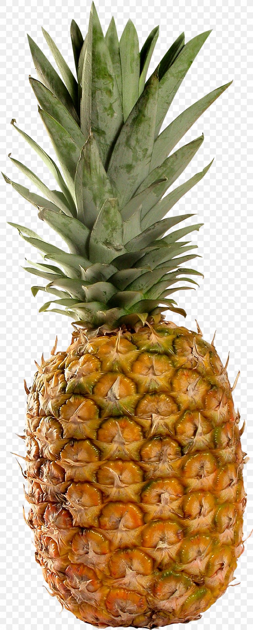 Juice Fruit Pineapple, PNG, 1088x2706px, Pineapple, Ananas