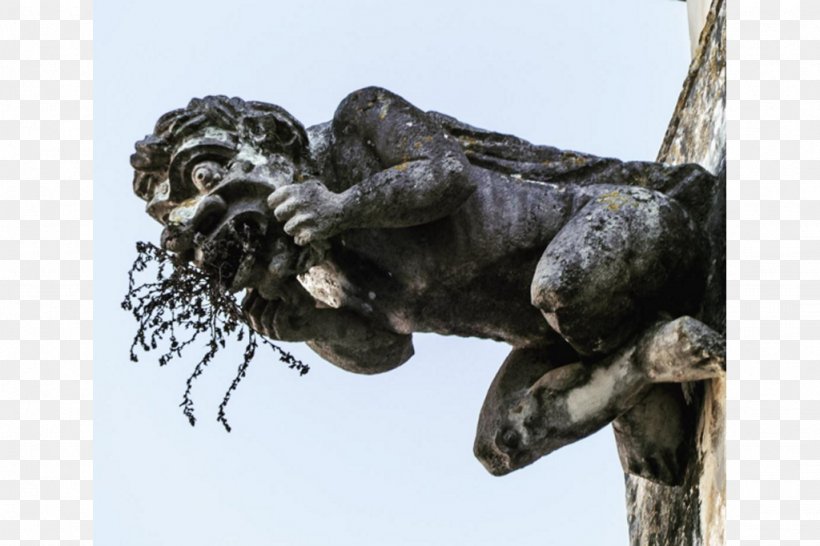 Gargoyle Tree, PNG, 1024x682px, Gargoyle, Organism, Sculpture, Statue, Tree Download Free