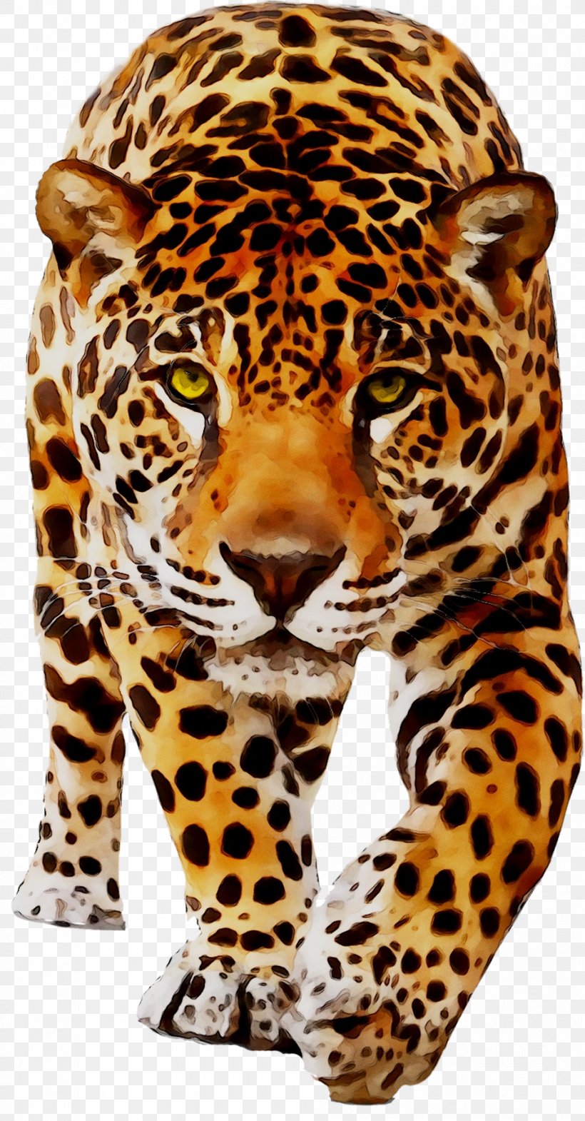 Jaguar Leopard Cat Tiger Animal, PNG, 952x1823px, Jaguar, African Leopard, Amazoncom, Animal, Animal Figure Download Free