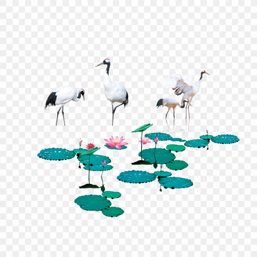 Red-crowned Crane Water Bird, PNG, 1181x1181px, Crane, Beak, Bird, Crane Like Bird, Designer Download Free