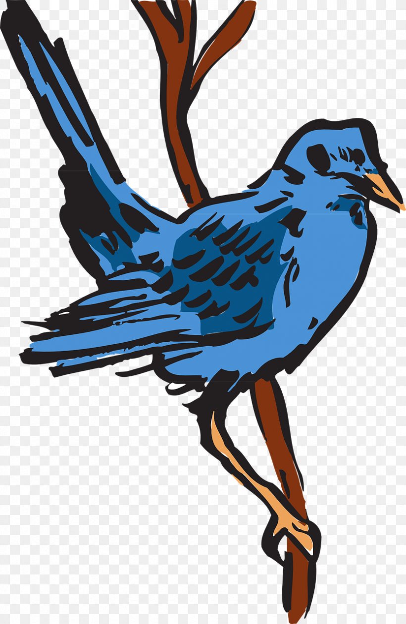 Bird Feather Beak Wing, PNG, 833x1280px, Bird, Animal, Art, Artwork, Beak Download Free