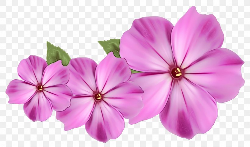 Purple Watercolor Flower, PNG, 1600x940px, Watercolor, Animationrewind, Digital Art, Drawing, Flower Download Free