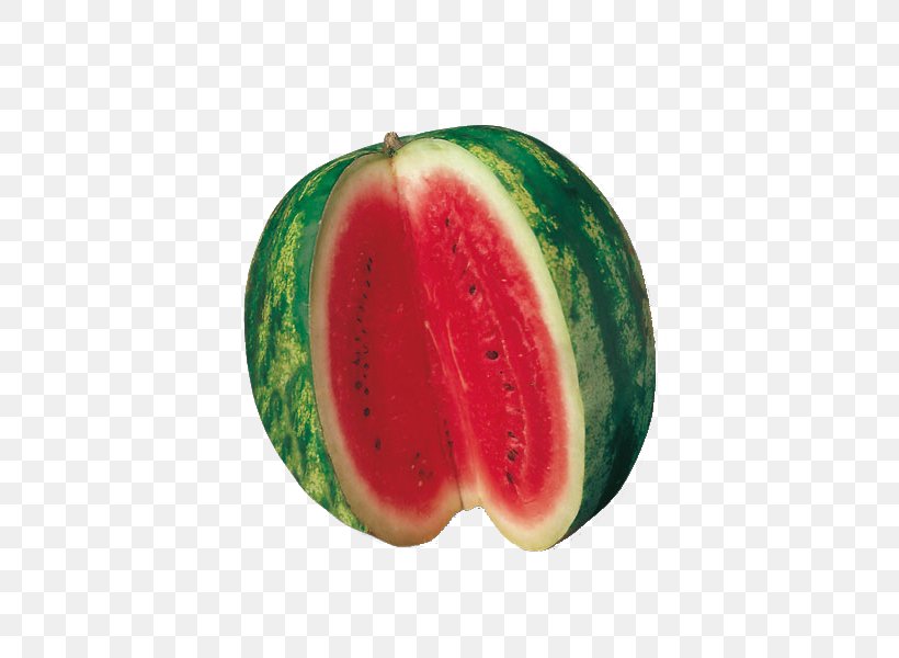 Watermelon Cartoon, PNG, 600x600px, Watermelon, Articoli, Citrullus, Crimson, Cucurbits Download Free