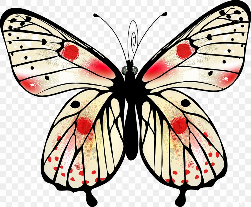 Butterfly Moth Insect Clip Art, PNG, 1210x1000px, Butterfly, Arthropod, Bombycidae, Brush Footed Butterfly, Butterflies And Moths Download Free
