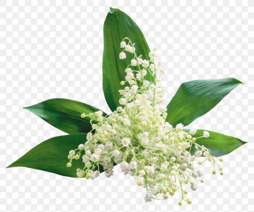 Clip Art GIF Lily Of The Valley Desktop Wallpaper, PNG, 900x751px, Lily Of The Valley, Blog, Cut Flowers, Flower, Plant Download Free