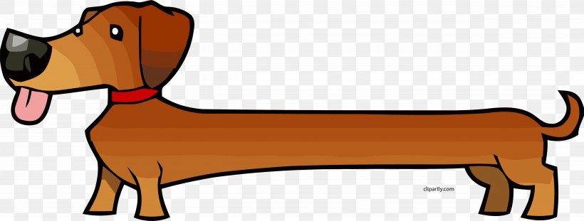 Dachshund Cartoon Puppy Drawing Hot Dog, PNG, 5076x1927px, Dachshund, Beagle, Black Tan, Carnivoran, Cartoon Download Free