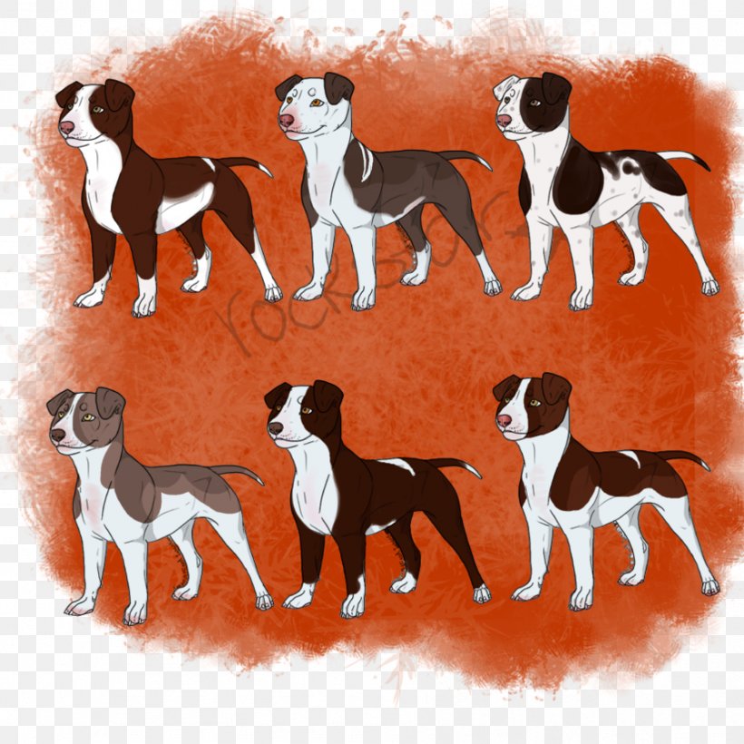 Dog Breed Dobermann American Bully American Pit Bull Terrier German Shepherd, PNG, 894x894px, Dog Breed, American Bully, American Pit Bull Terrier, Breed, Carnivoran Download Free